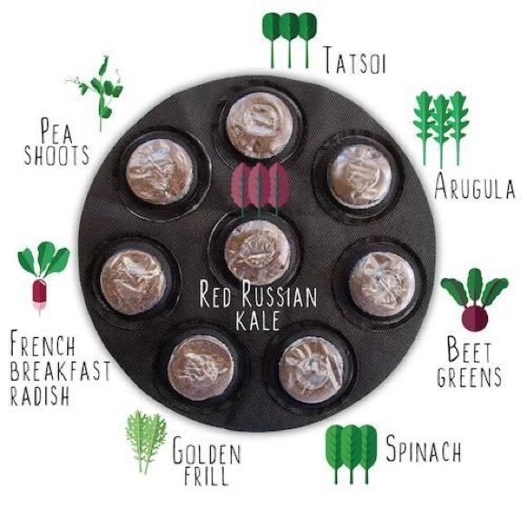 [Free If You Bundle $15+] “Grow Your Own Salads” Seeds Packed For *2018* - Picture 2 of 2